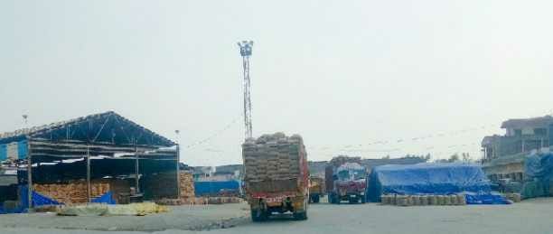 Farmers stop ₹ 57 crore in Chhachrauli Grain Market